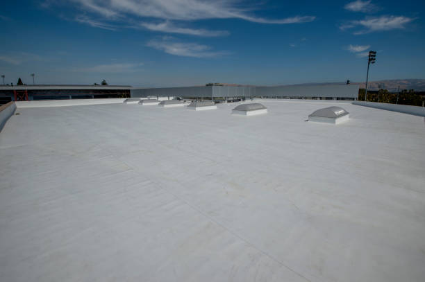 Best Steel Roofing  in Indnola, IA