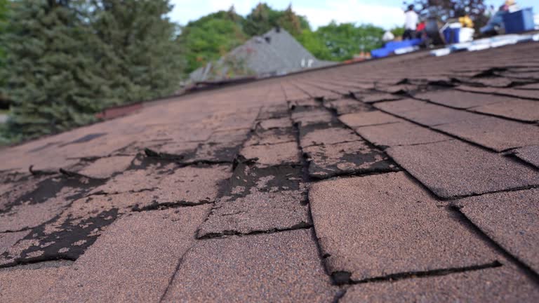 Best Emergency Roof Repair  in Indnola, IA
